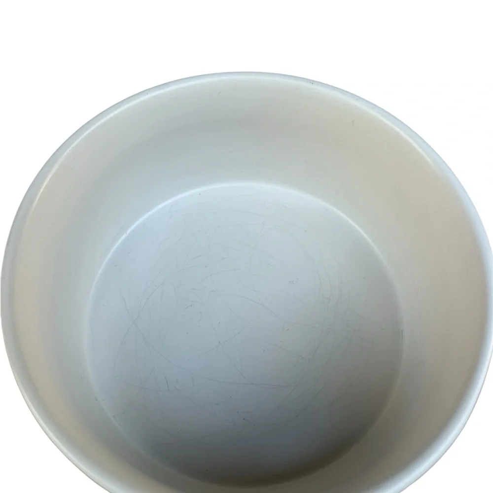 Rae Dunn GOOD DOG White Ceramic Dog Bowl Inscribed Black 6